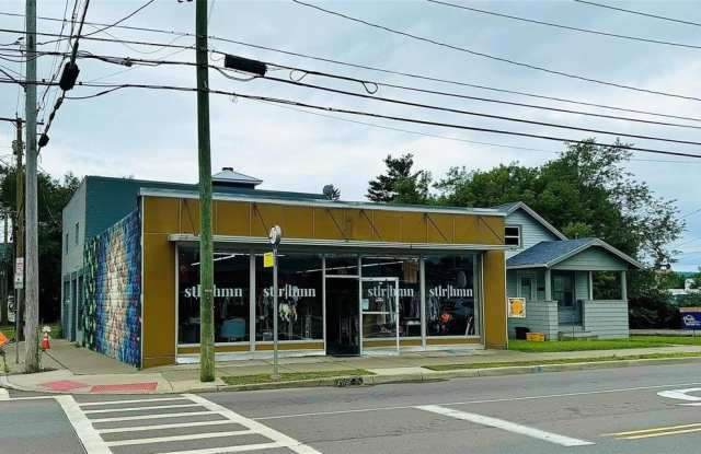 126 Robinson Street - 126 Robinson Street, Binghamton, NY 13904