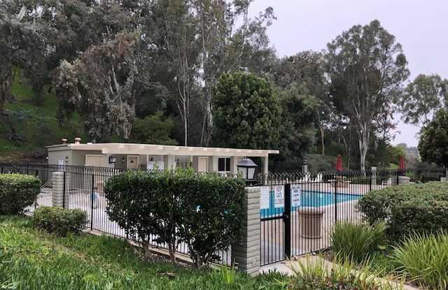 23742 Dolphin Gallery 3