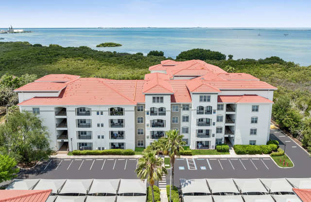 Casa Bella on Westshore photos photos