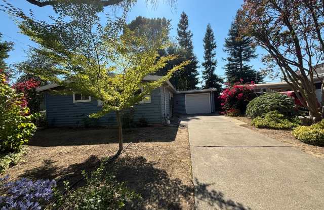Super Cute 3 bed 2 bath Home in Central Davis w/ Yard photos photos