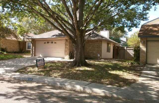 5719 SPRING WATCH Gallery 2