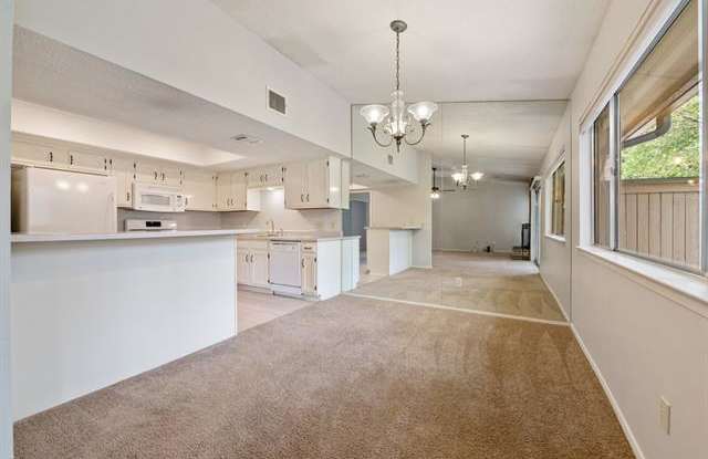 2021 Verbena DR Gallery 3