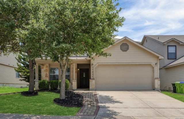 13026 Cipresso Palco photos photos