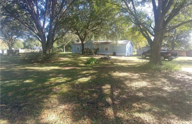 6535 FERNWOOD DRIVE - 6535 Fernwood Drive, Kathleen, FL 33810
