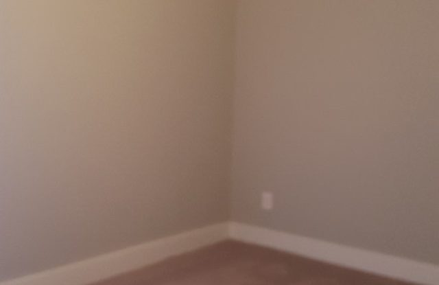 COMING SOON- 3 bedroom home in uptown Greenville photos photos