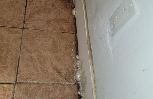 1185 E 167th photos photos