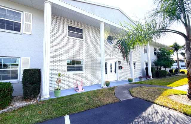 2/2 STUNNING SEASONAL RENTAL IN SUNNY N. FT. MYERS, FL photos photos