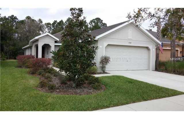 11305 THAMES FARE WAY - 11305 Thames Fare Way, Fish Hawk, FL 33547