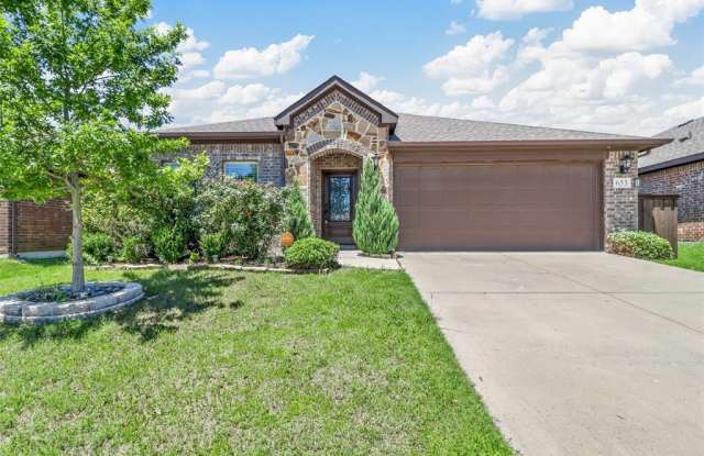 653 Langdon Street - 653 Langdon Street, Lavon, TX 75166