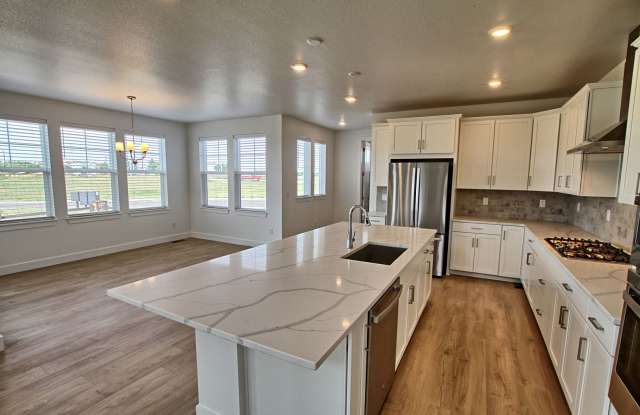 Brand new 4 bed 2.5 bath home in Macanta Gallery 3