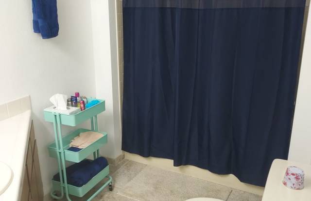 BOTTOM FLOOR SEASONAL RENTAL Gallery 4