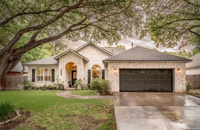 1147 Camellia Gallery 1