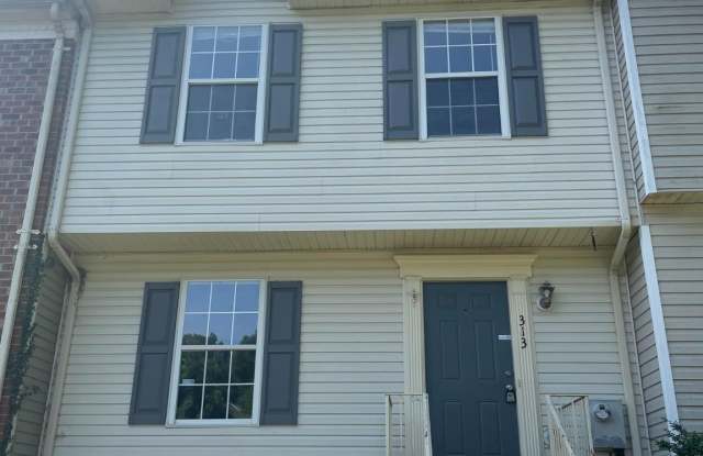 313 STAFFORD MEWS Lane photos photos