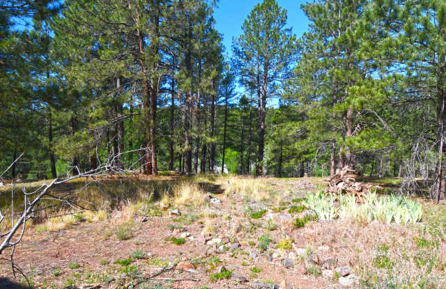 2678 Mesa Trail - 4#1 Gallery 3