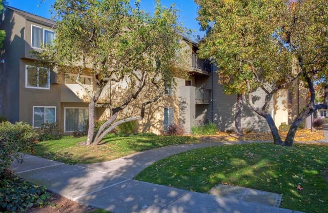 View at Marin Apartments Gallery 3