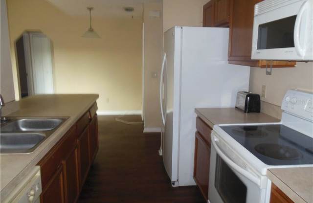 557 RAPID FALLS DRIVE Gallery 3