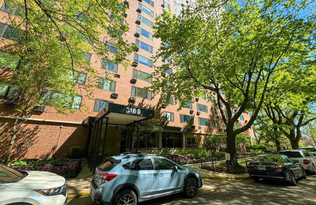 3100 N Lake Shore Drive Gallery 1