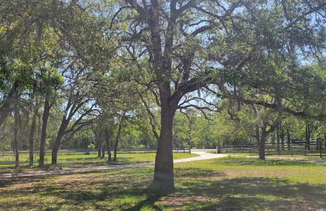 14175 Hurricane Dr Gallery 2