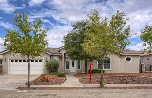 12649 Tierra Perla Court - 12649 Tierra Perla Court, El Paso, TX 79938