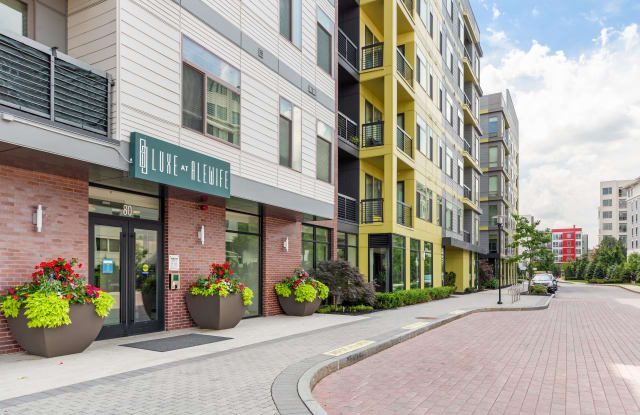 Luxe at Alewife photos photos