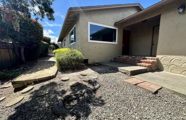 701 Pine St photos photos