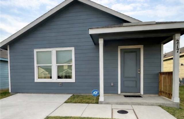 217 Alligator photos photos