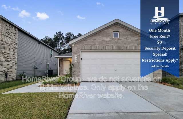 31367 Black Cherry Hollow Dr - 31367 Black Cherry Street, Montgomery County, TX 77354