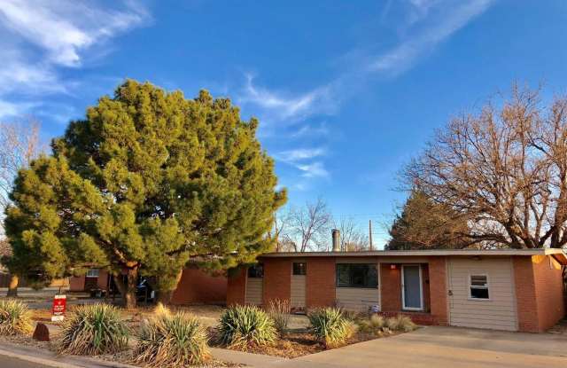 Great 3/2 with bonus room close to Texas Tech photos photos
