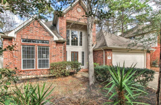 18 Belcarra Place - 18 Belcarra Place, The Woodlands, TX 77382