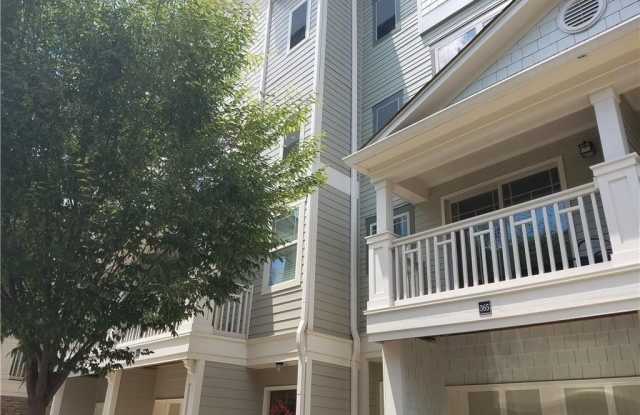 216 Semel photos photos