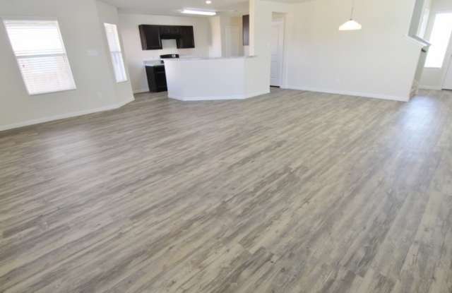 24002 Treviso Gardens Drive Gallery 3