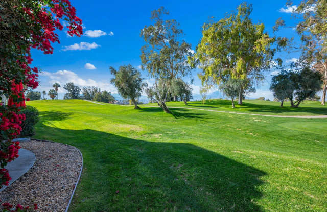 207 Desert Falls Circle photos photos