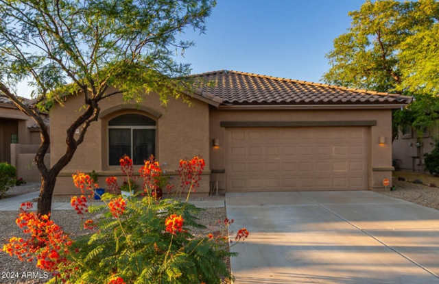 Incredible Community Amenities in Estrella Mountain Ranch! photos photos