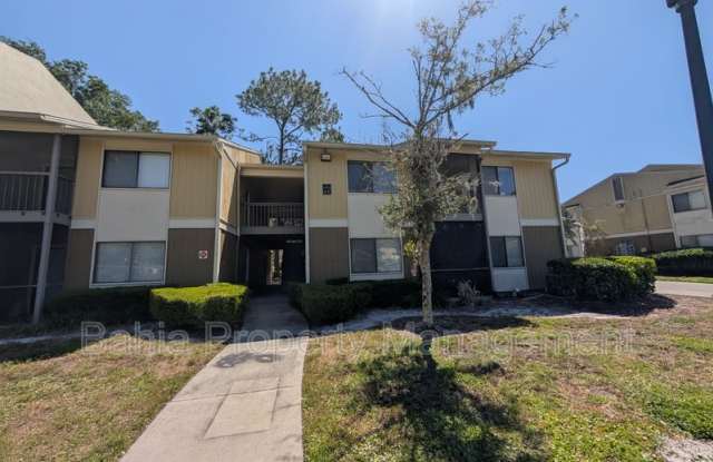 13401 Arbor Pointe Cir - 13401 Arbor Pointe Circle, Hillsborough County, FL 33617