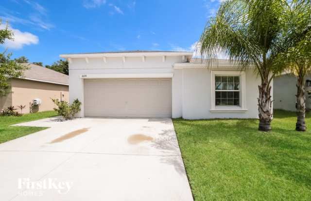 10224 Strawberry Tetra Drive - 10224 Strawberry Tetra Drive, Riverview, FL 33578