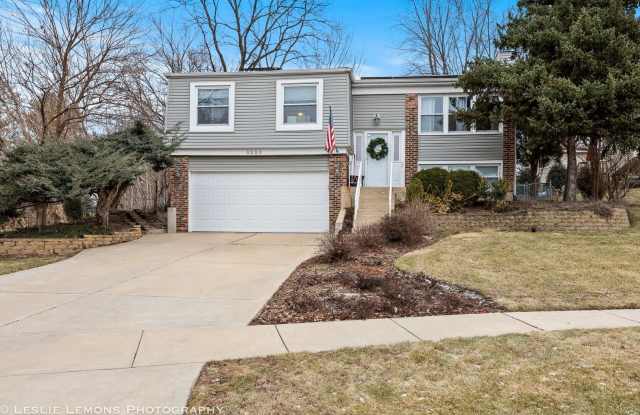 3226 Everglade Avenue - 3226 Everglade Avenue, Woodridge, IL 60517