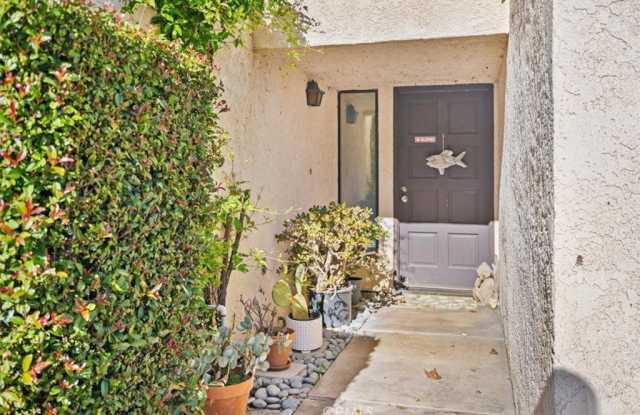 284 Spruce Street photos photos
