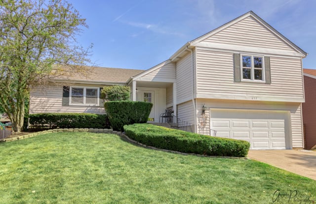 652 BUCKTHORN Terrace - 652 Buckthorn Terrace, Buffalo Grove, IL 60089