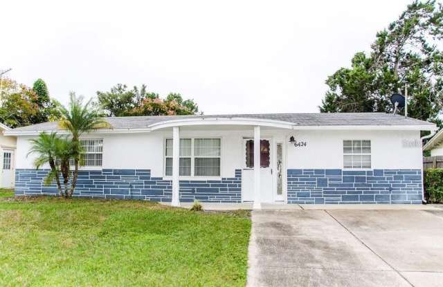 6424 STONE ROAD - 6424 Stone Road, Jasmine Estates, FL 34668