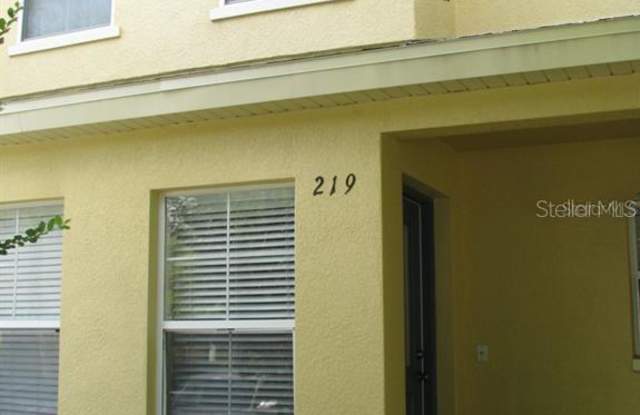219 CASTLEKEEPER PLACE - 219 Castlekeeper Place, Valrico, FL 33594