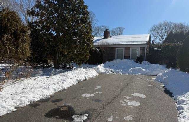 40 Roman Road photos photos 40 Roman Road photos photos