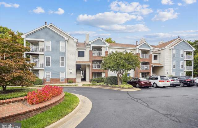20963 TIMBER RIDGE TERRACE Gallery 2