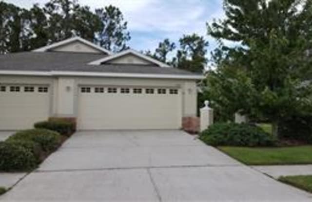 3429 Chapel Creek Cir - 3429 Chapel Creek Circle, Wesley Chapel, FL 33544