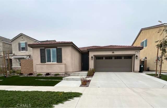 16746 Mistletoe photos photos