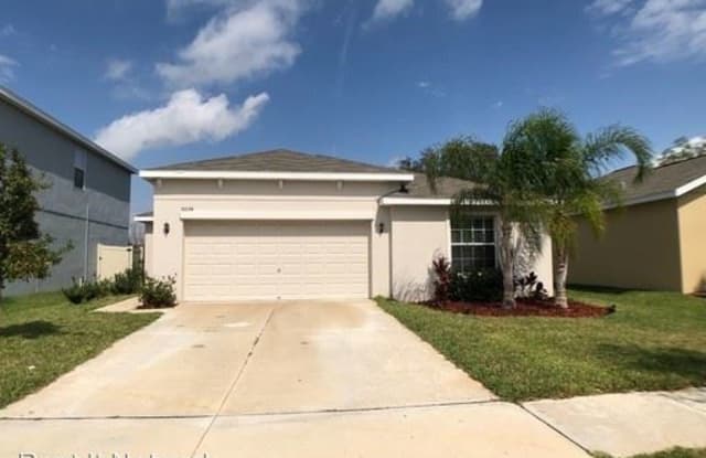 10034 Crested Fringe Dr - 10034 Crested Fringe Drive, Riverview, FL 33578