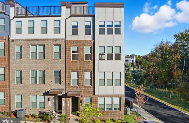 2490 CONNECTOR Alley - 2490 Connector Alley, McNair, VA 20171