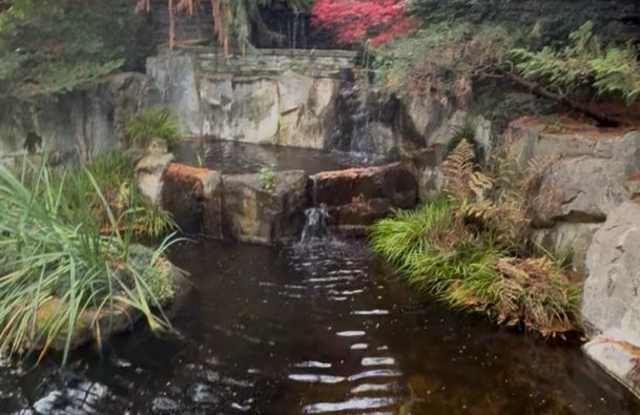 10809 SE 17th St - 10809 Southeast 17th Street, Bellevue, WA 98004