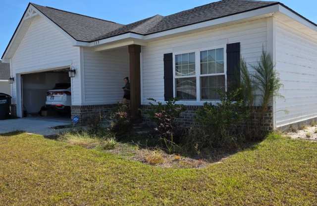 Step inside to find a Welcome home to this beautiful semi-new 3-bedroom, 2-bathroom property in Ludowici, GA! Gallery 1