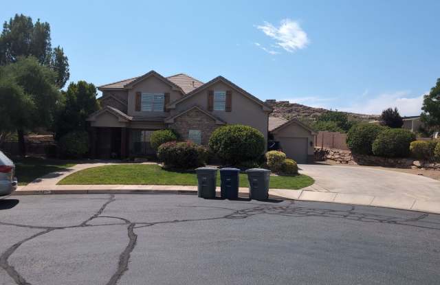 PET FRIENDLY -Spacious 6 Bedroom Home in St. George photos photos