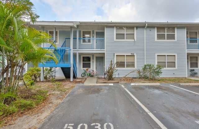 Fantastic Location near USF Area perfect for students, traveling nurses, and working professionals! photos photos